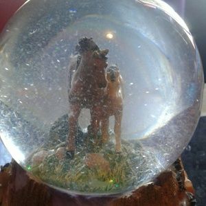 Horse snow globe